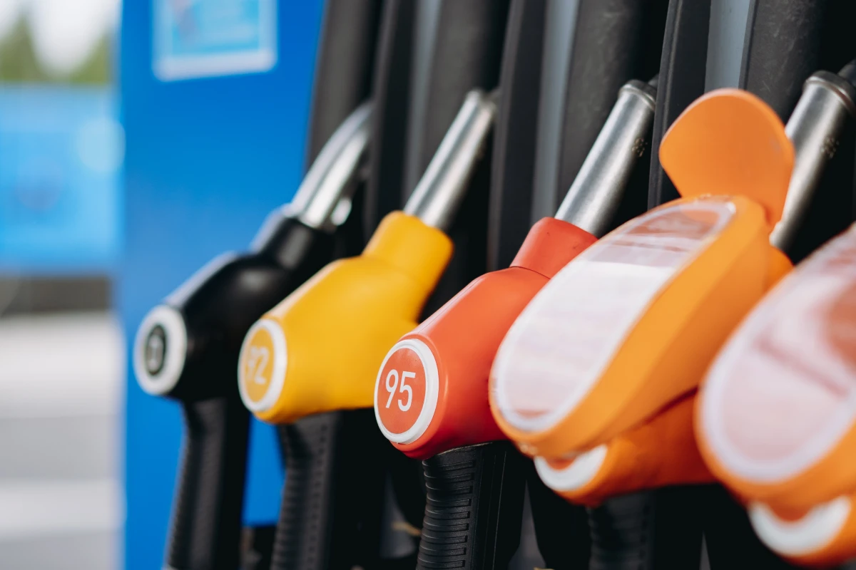 Sanctions pénales pour infractions environnementales : Tout savoir sur la protection de l'environnement par le droit pénal